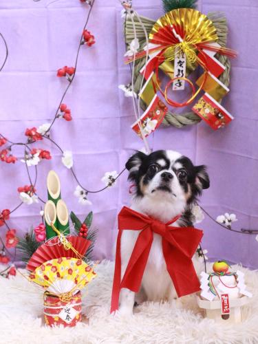 20230106ハートくん